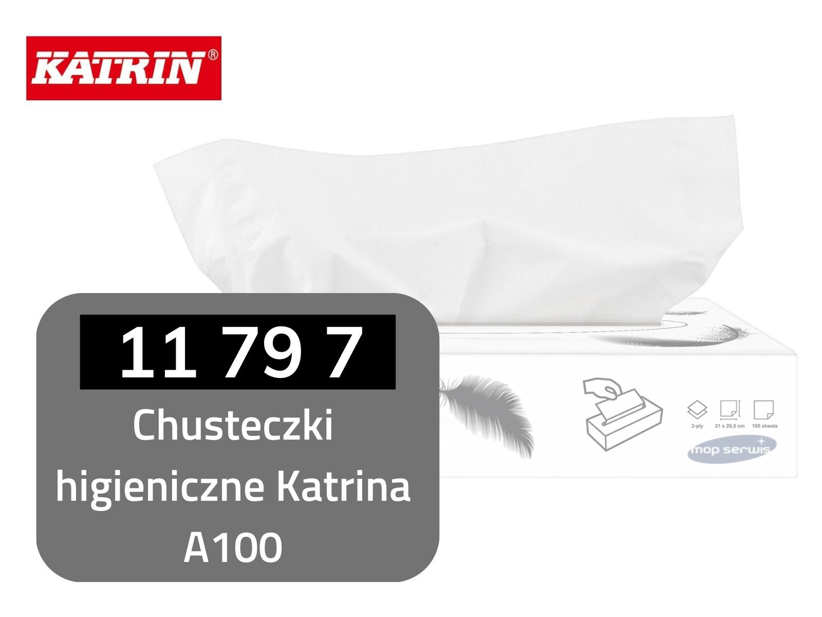 Chusteczki higieniczne KATRIN 11797 Miękkie Chłonne Karton 40 x Opakowań